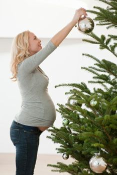 pregnant with a christmas tree
